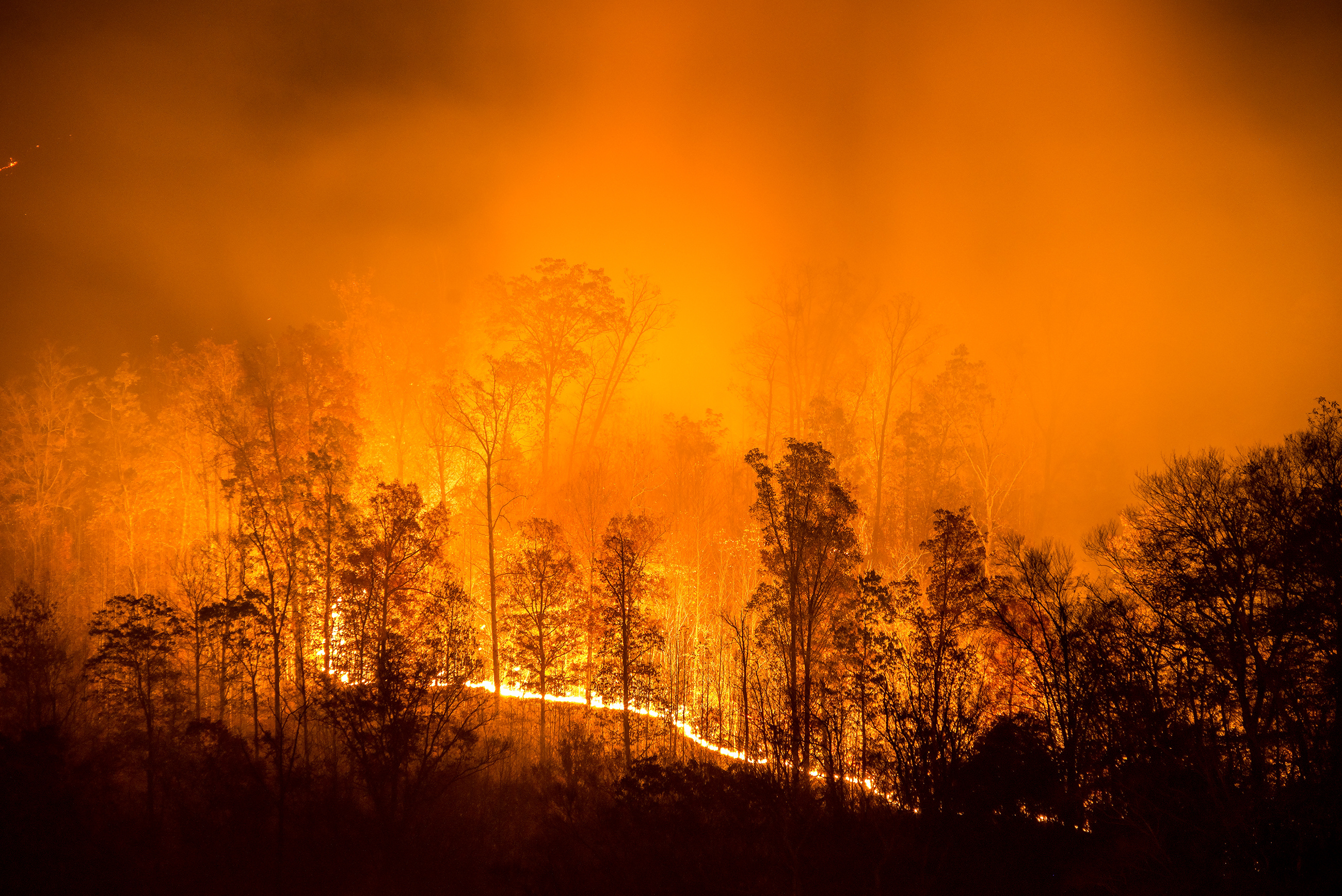 Bushfire