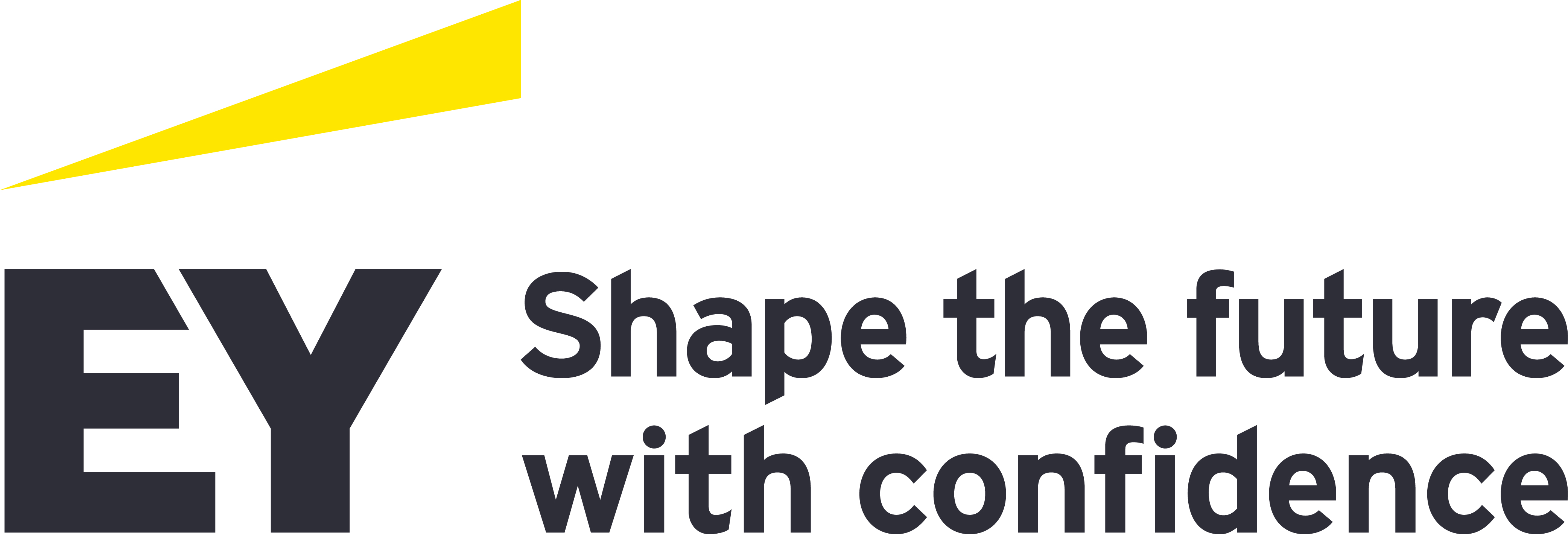 EY Employer Network Logo