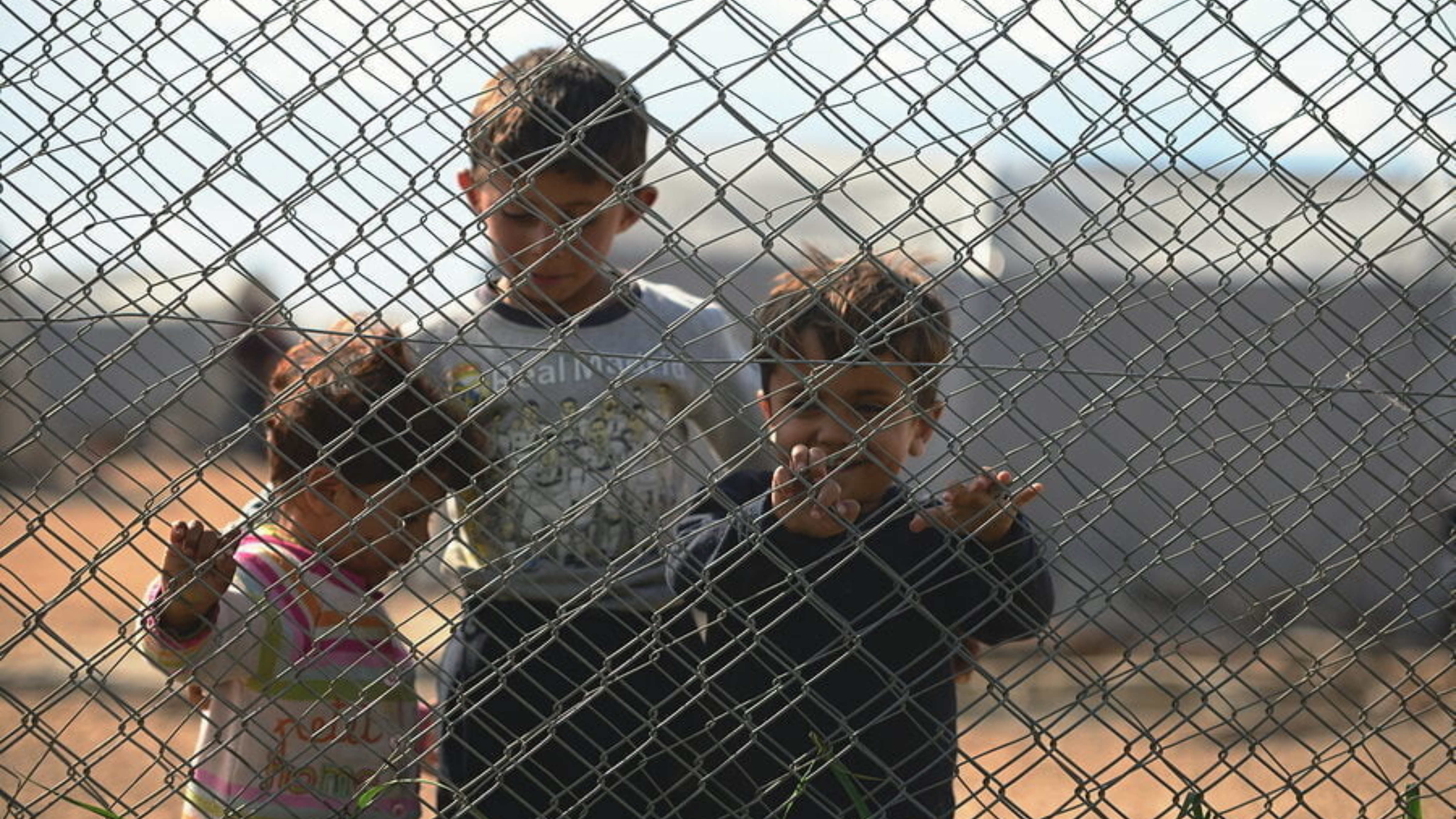 40 years refugee 1 children behind mesh fencing