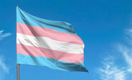 Trans flag