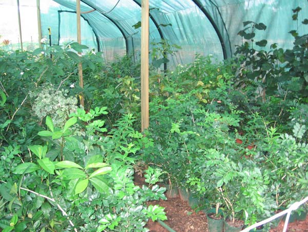 Garden area in ‘Aqualand