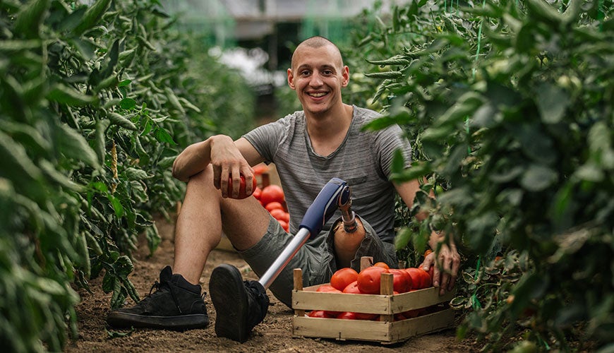 A person with a prosthetic leg sits between rows of crops, smiling and picking tomatoes