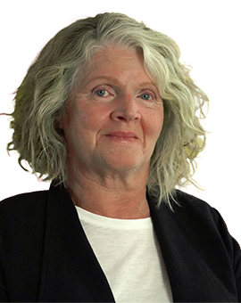 Rosemary Kayess, Disability Discrimination Commissioner