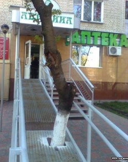 Wheelchair ramp buit with a tree in the middle - Worst ramp in the world? Image courtesy RFERL Tatar service 