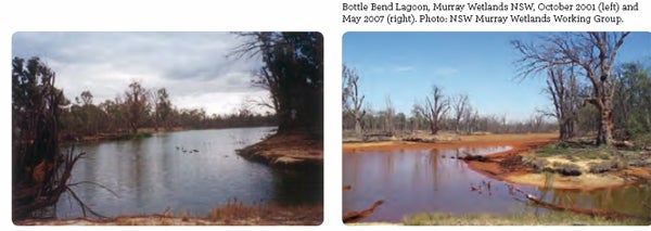 Bottle Bend Lagoon, Murray Wetlands NSW, October 2001 (left) and May 2007 (right). Photo: NSW Murray Wetlands Working Group.