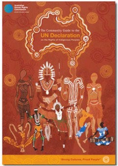 The Community Guide to the UN Declaration cover