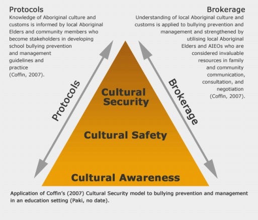 Text Box 4.2 Cultural Security Model