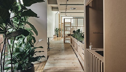 Exhibition photo - hallway with indoor plants