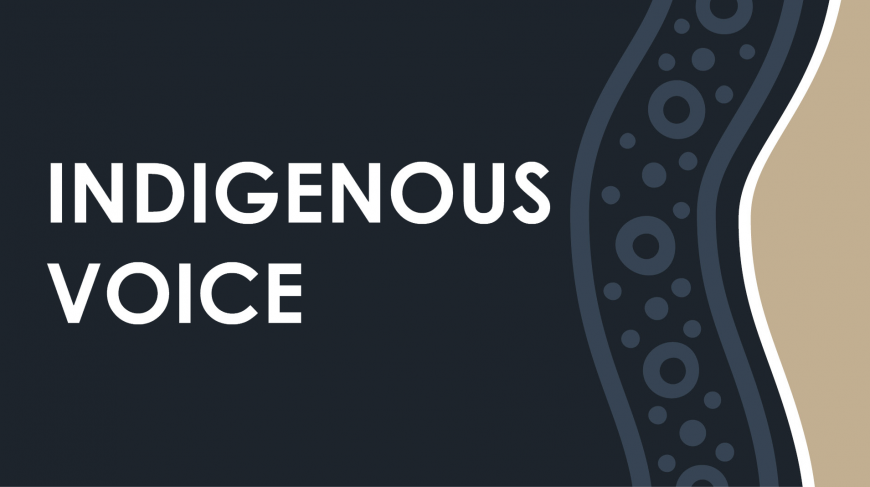 Graphic displaying the words 'Indigenous Voice'