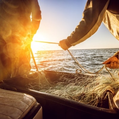 Two fishermen on a boat pulling nets