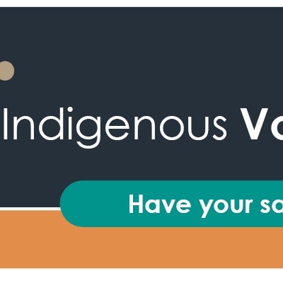 Indigenous Voice Have Your Say - Banner