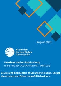 Thumbnail - Causes and Risk Factors of Sex Discrimination, Sexual Harassment and Other Unlawful Behaviours 